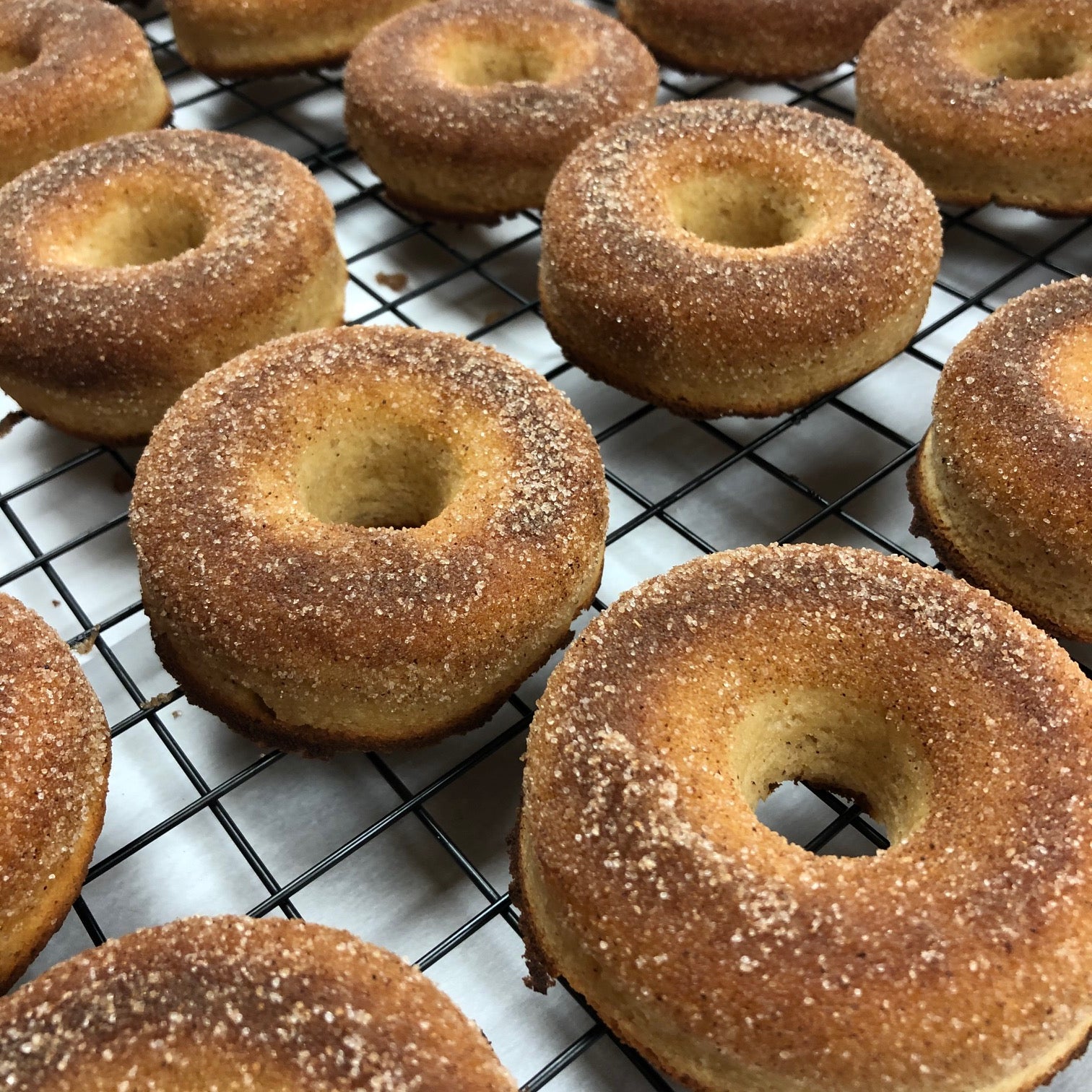 Cinnamon Sugar Donuts (Gluten Free & Sugar Free)